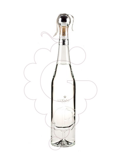 Foto Grappa Grappa Alexander Discovery