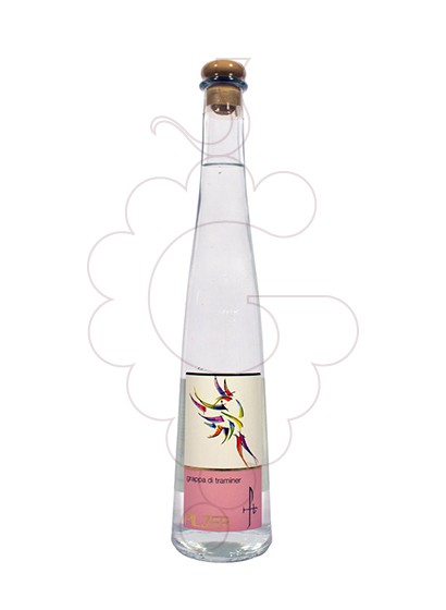 Foto Grappa Grappa Pilzer di Gewürztraminer