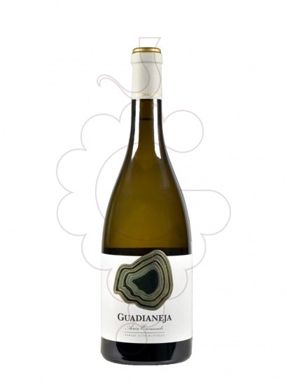 Guadianeja