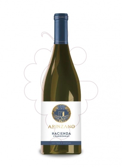 Hacienda De Arínzano Blanco 2022
