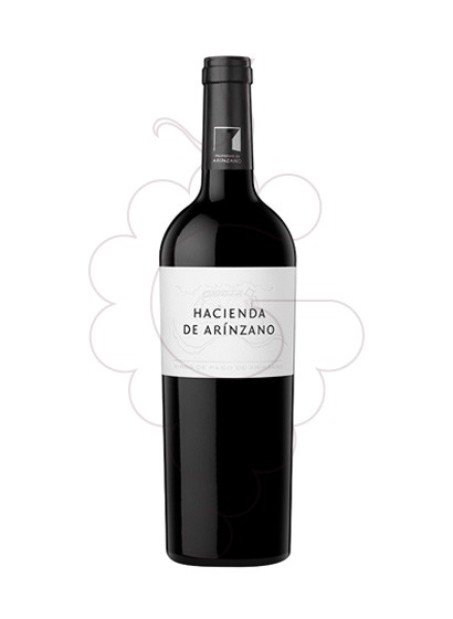 Hacienda De Arínzano Tinto Magnum 2017