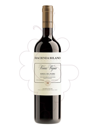 Hacienda Solano Viñas Viejas 2021