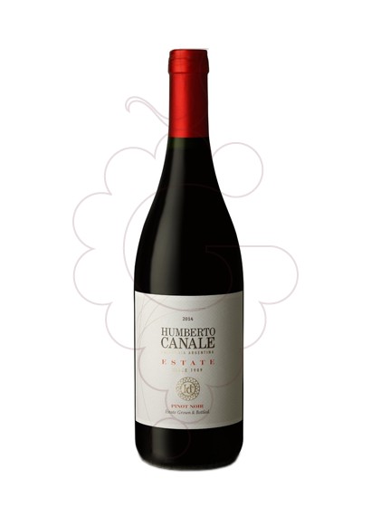 Foto Humberto Canale Estate Pinot Noir vino tinto