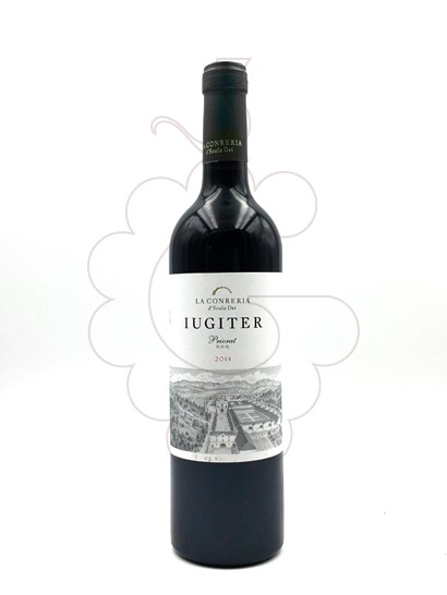 Foto Iugiter vino tinto