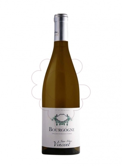 Foto Jean-Marc Vincent Bourgogne Blanc vino blanco