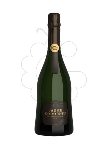 Jaume Codorniu 2018