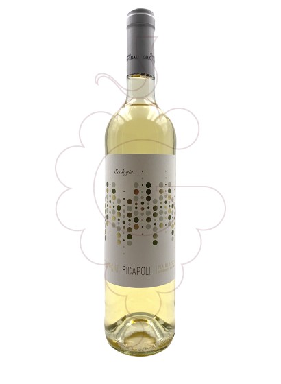 Foto Cent kat Picapoll blanco ecolólgico vino blanco