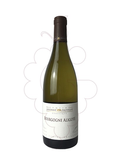 Foto Maldant Bourgogne Aligoté vino blanco