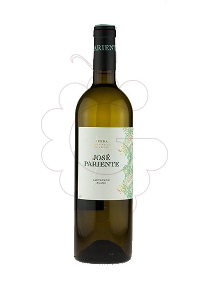 Foto José Pariente Sauvignon Blanc vino blanco