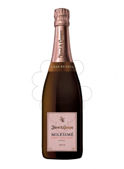 Juve I Camps Milesime Pinot Noir Rosé 2020