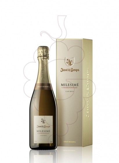 Juve I Camps Milesime Chardonnay 2019