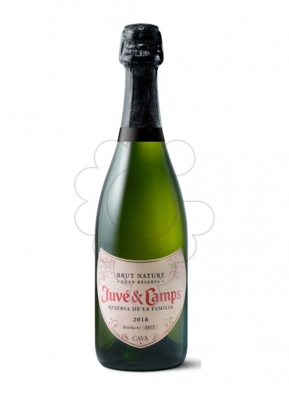 Juve I Camps Reserva Familiar Magnum 2019