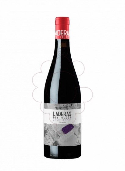 Laderas Del Jiloca Juan Ibáñez 2020