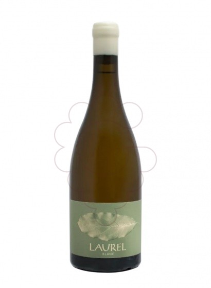 Laurel Blanc