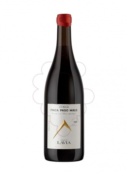 Lavia Finca Paso Malo 2019