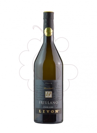 Livon Friulano Collio 2020