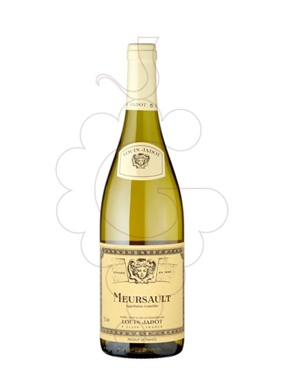 Foto L. Jadot Meursault Magnum vino blanco