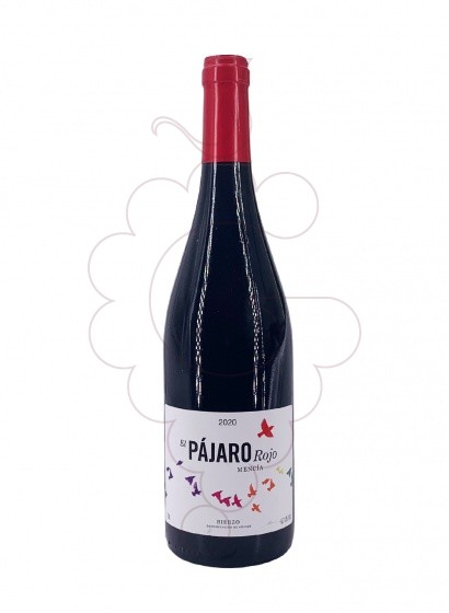 Losada El Pájaro Rojo 2023