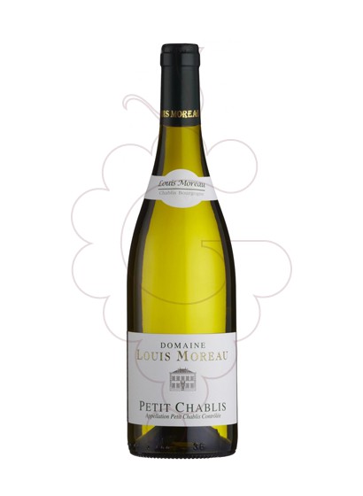 Foto Louis Moreau Petit Chablis vino blanco