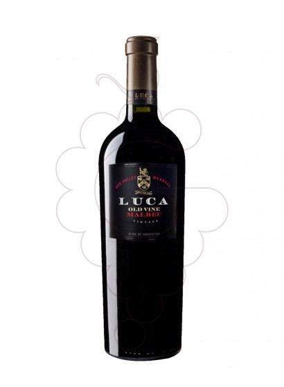 Luca
