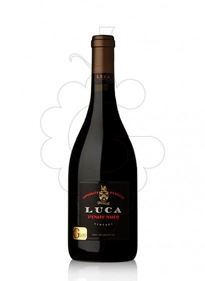 Luca Pinot Noir 2021