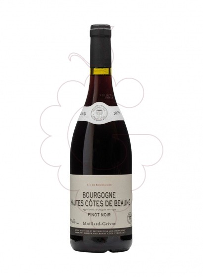 Foto Moillard-Grivot Hâutes-Côtes de Beaune Negre vino tinto