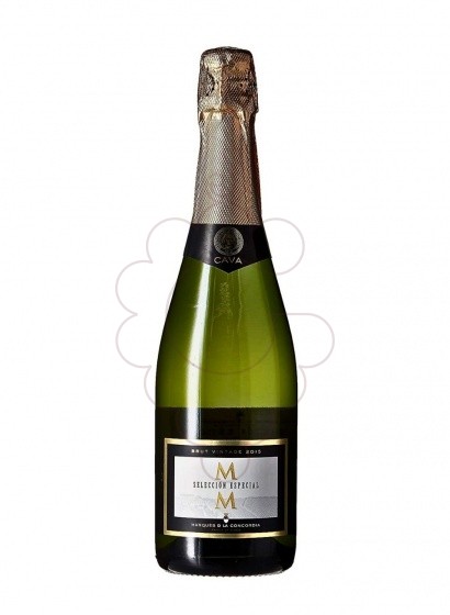 M M Seleccion Especial B Nat 2020