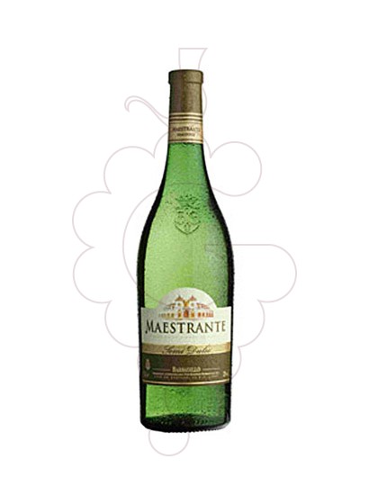 Foto Maestrante (Barbadillo) vino blanco