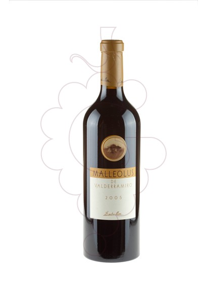 Malleolus De Valderramiro 2020