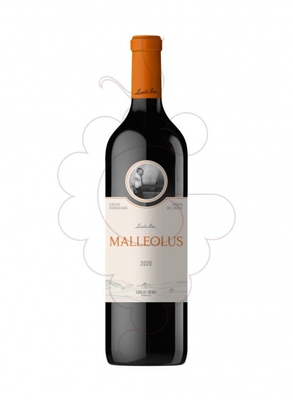 Malleolus 2022