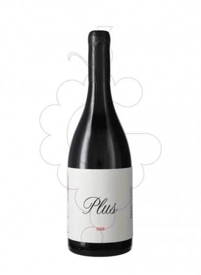 Mas Oller Plus 2022