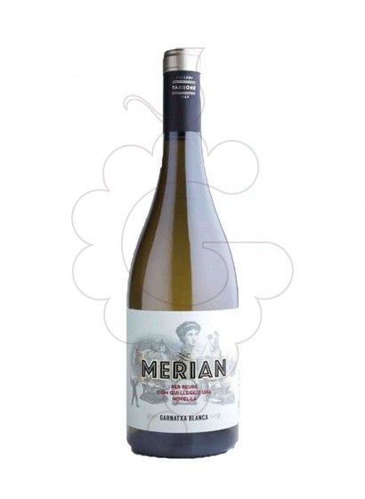 Merian Blanc 2023