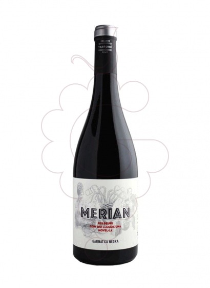 Merian Negre 2023