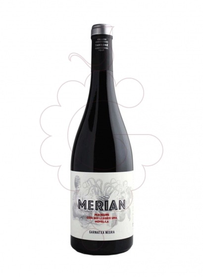 Merian Negre 75 Cl 2023