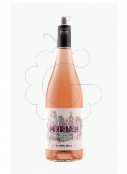 Merian Rose 2024