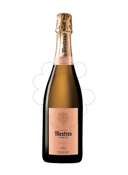Mestres Rosat G R B Nature 2021