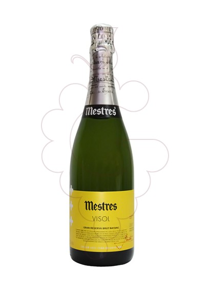 Mestres Visol Brut Nature