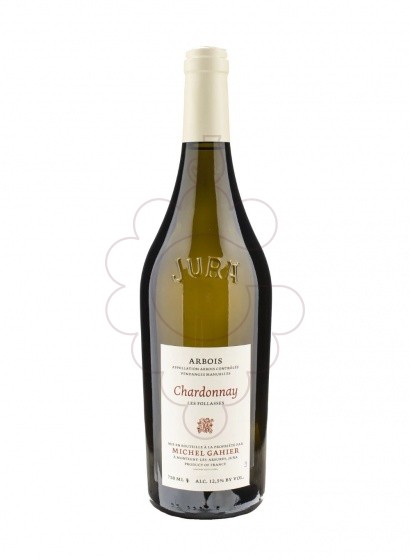 Michel Gahier Arbois Chardonnay Les Follasses 2023