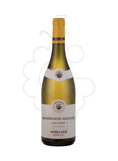 Foto Moillard Bourgogne Aligoté vino blanco