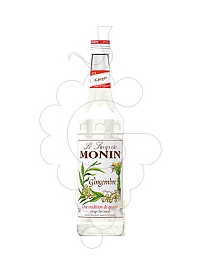 Foto Jarabes Monin Gingembre (s/alcohol)