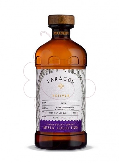 Foto Jarabes Monin paragon vetiver