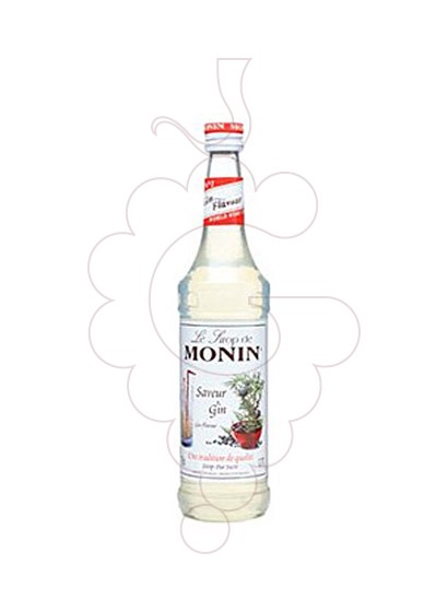 Foto Jarabes Monin Saveur Gin (s/alcohol)
