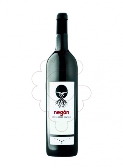 Negón 2013