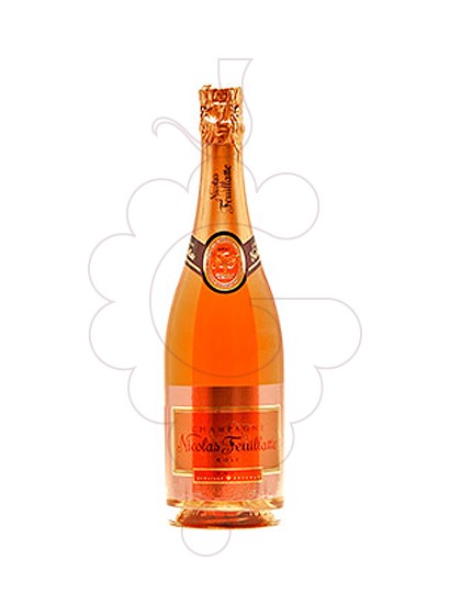 Foto Nicolas Feuillatte Rose vino espumoso