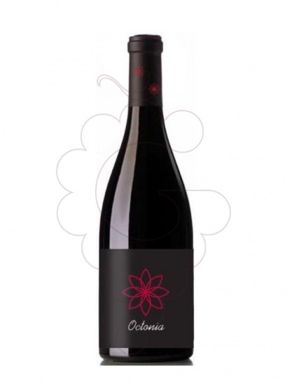Octonia Negre 2014