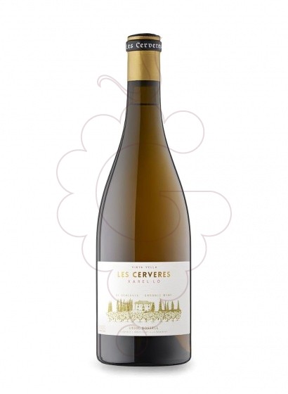 Oriol Rossell Cerveres Bl Xare 2022