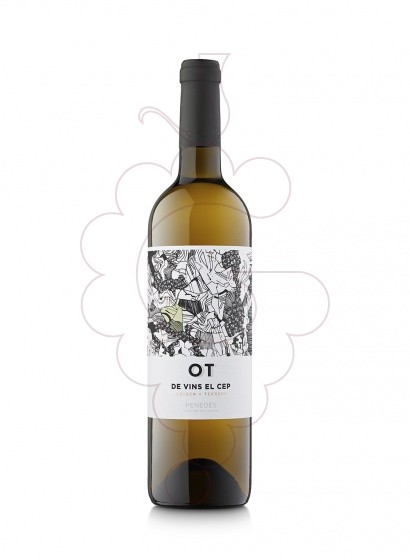 Ot Blanc De Terrer 2022