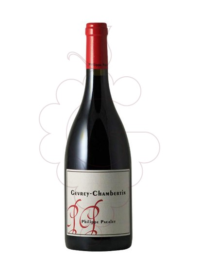 Foto Pacalet Gevrey-Chambertin vino tinto