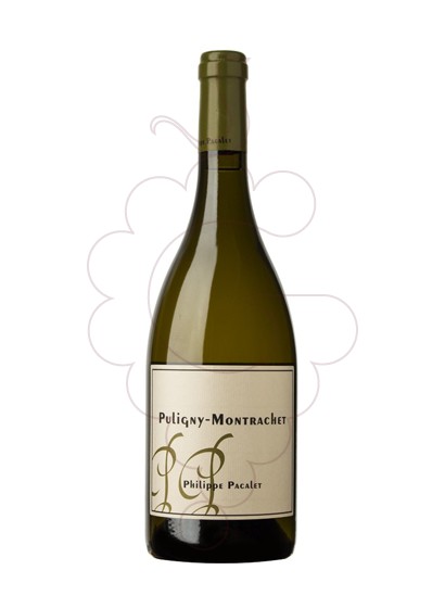Foto Pacalet Puligny-Montrachet vino blanco