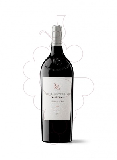 Pago De Capellanes Picon Magnum 2019